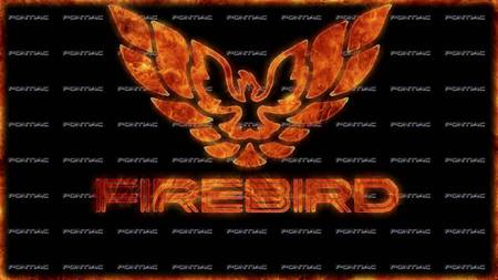 On fire bird - firebird, cars, fire, trans am, automobiles