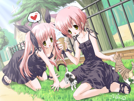 Kitty - girls, sexy, cat, maria, kawai, alice, kousaka, suigetsu, twins, anime, animal, morinaga, house, grass, cute, korune