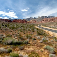 Calico Canyon