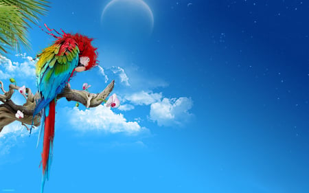 parrot on a branch - clouds, bird, rio, branch, blue, planet, parrot, cool, tree, multi, animal, awesome, cloud, nice