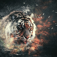 tiger art