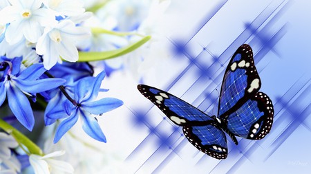 Baby Blues - lilies, nature, butterfly, floral, blue, flowers, firefox persona