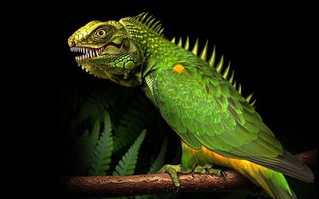 Bird Iguana - animal, bird, iguana, reptile