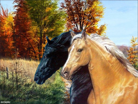 Majestic horses - animal, nature, horse, run