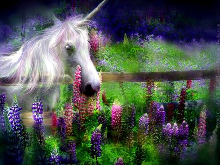 Horse in garden - garden, flower, run, horse, animal, nature, abstract