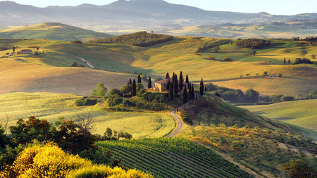 Tuscan Summer - fields, autumn, valley, italy, hills, trees, sun, summer, mountains, tuscany, nature, beautiful, cypress, green, pasture, farms