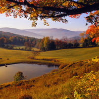 Autumn Grazing