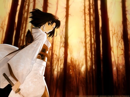 Goodbye - girl, kara no kyoukai, japanese, ryougi shiki, game, katana, clothes, weapon, anime, sword, kimono, tree, signed, cute