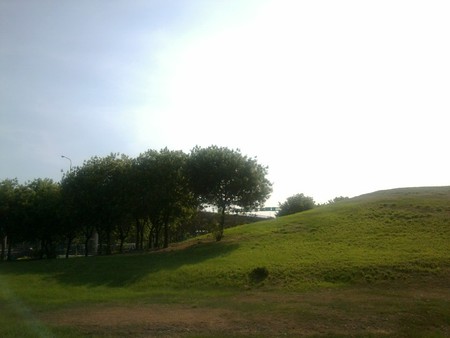 Taiwan Kaohsiung~Hill - grass, tree, sky