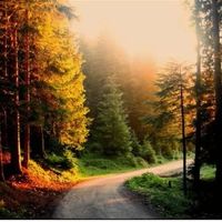 Beautiful Sunset