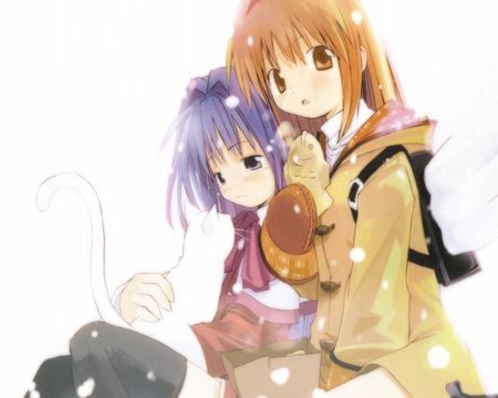 Cute Girls - taiyaki, anime, neko, minase nayuki, snow, kanon, tsukimiya ayu, cat, kawai, white, animal, cute, harada takehito