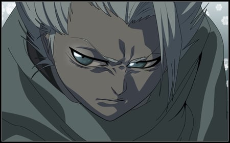 hitsugaya toshiro - toshiro, anime, hitsugaya, capitaine, bleach, movie, white hair