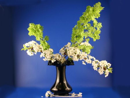 Still life - flower, bouquet, still life, nature, blue