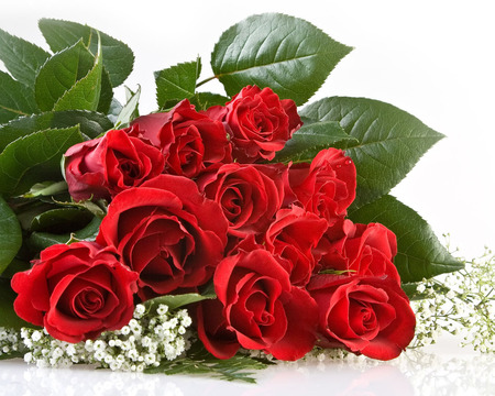 Roses - nature, red, bouquet, rose, flower