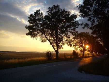 sunset, čečejovce - sunset, route, nature, sky