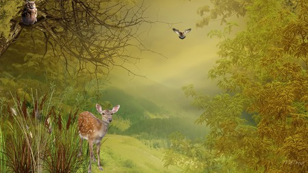 Awaiting Winter - owls, fawn, hills, birds, firefox persona, fall, autumn, deer, green, field, mountains