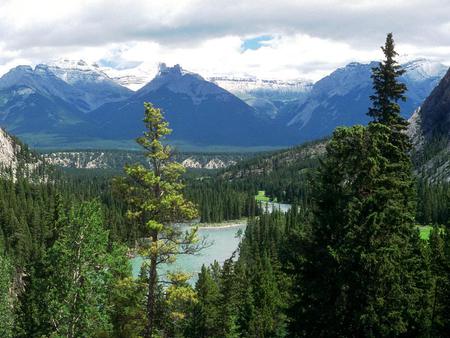 Banff National Park, Alberta Canada - national park, trees, beautiful, rocky mountains, canada, nature, western canada, mountains, lakes, wild, banff