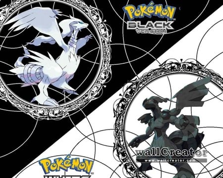 Pokemon Black and Pokemon White - white, dragon, pokemon, black