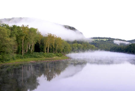 Morning Fog on the Delaware River - river, trees, fog, summer, morning