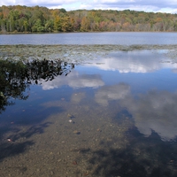 Reflection of Sky