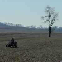 Homestead Farm