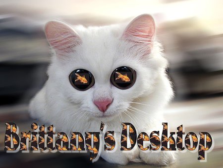 Brittany Fish - name, brittanys, gold fish, cat