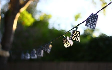 Lanterns - nature, romantic, lanterns, evening, tree, lantern, sky