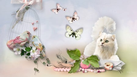 Dreams of Birds - cat, soft, summer, beads, spring, white, firefox persona, apple, butterflies, birds