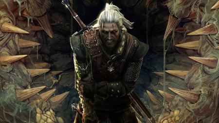 The Witcher 2  Assassins of Kings - assassins of kings, cdprojekt, pc, witcher 2