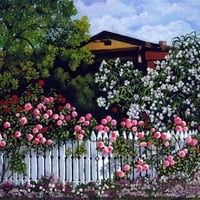 Roses across the fence