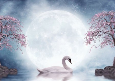 SOLITUDE - moon, trees, blossoms, swan, reflection, pink, stars, lake, solitude, sky