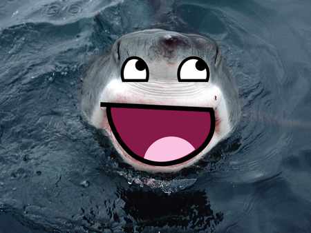 hilarious shark - fun, water, blue, lol, cool, hilarious, smile, awesome, funny, nice, shark, fish