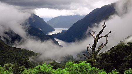 Misty Mountains - north, overcast, vapour, mountains, mist, storm, cloud, cold, tree, lake, range, hills, rain, summit, cloudy, pass, fog