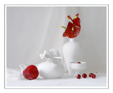 Snow red - anthurium, petal, red, fruits, art, vase, cherries, snowy, photography, creamy, still life, flower, vases, white, nature, apple, cup