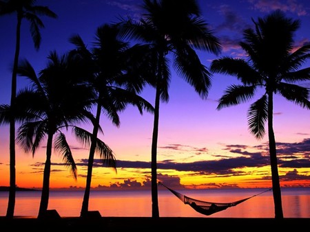 Vacations - palm, vacation, hammock, relax, beach, sunset, sea