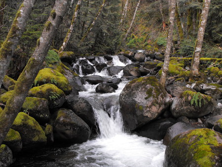 Riverfalls - water, beauty, color, structure