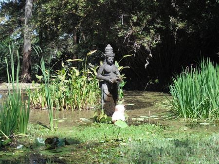 Tranquility - trees, stone, water, reeds, pond, ornament, water lily, grass, leaves, plants, statue