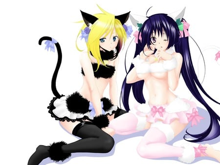 †Cute Dressed Girls† - dress, cute, viraterry, 2girls