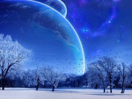 wintry - moon, birds, blue, snow, cool, peace, tree, white, cold, sky