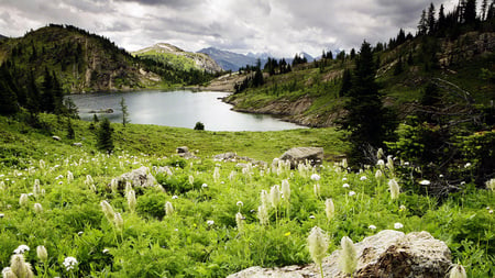 Banff National Park - clouds, national park, beautiful, alberta, grass, canada, nature, green, mountains, lakes, sky, park