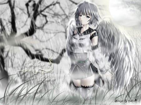 anime angel - wings, grey hair, cute, rain