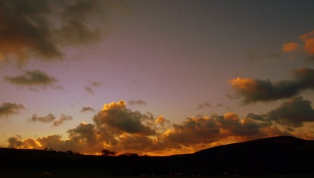 Dusk on Exmoor - moors, sunset, devon, dusk