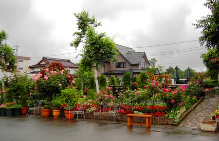 Small Garden - dark clouds, perfume house, flowers, garden