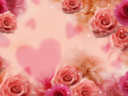 Love roses - flower, rose, pink, heart, love