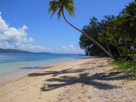 beaches - fiji, cakaudrove, rabi, vanua levu