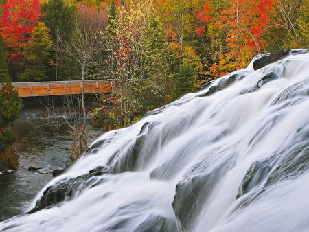 Rapid - trees, waterfalls, water, forest, fall, nature, autumn, flowing, rocks