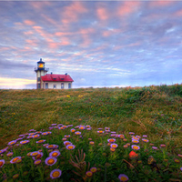 Landscape-HDR