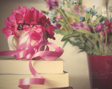 creamy_day - nature, gift, books, flowers, flower