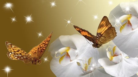 Orchids in Gold - butterflies, sparkles, gold, stars, firefox persona, flowers, exotic, orchids, shine