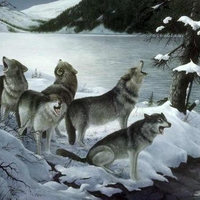 Winter wolves